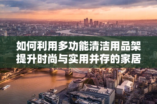 如何利用多功能清洁用品架提升时尚与实用并存的家居环境？