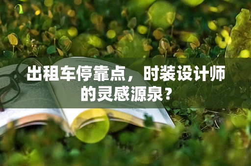 出租车停靠点，时装设计师的灵感源泉？