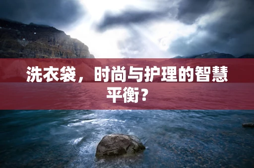 洗衣袋，时尚与护理的智慧平衡？