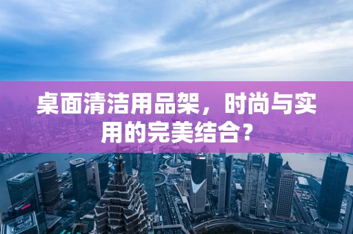 桌面清洁用品架，时尚与实用的完美结合？